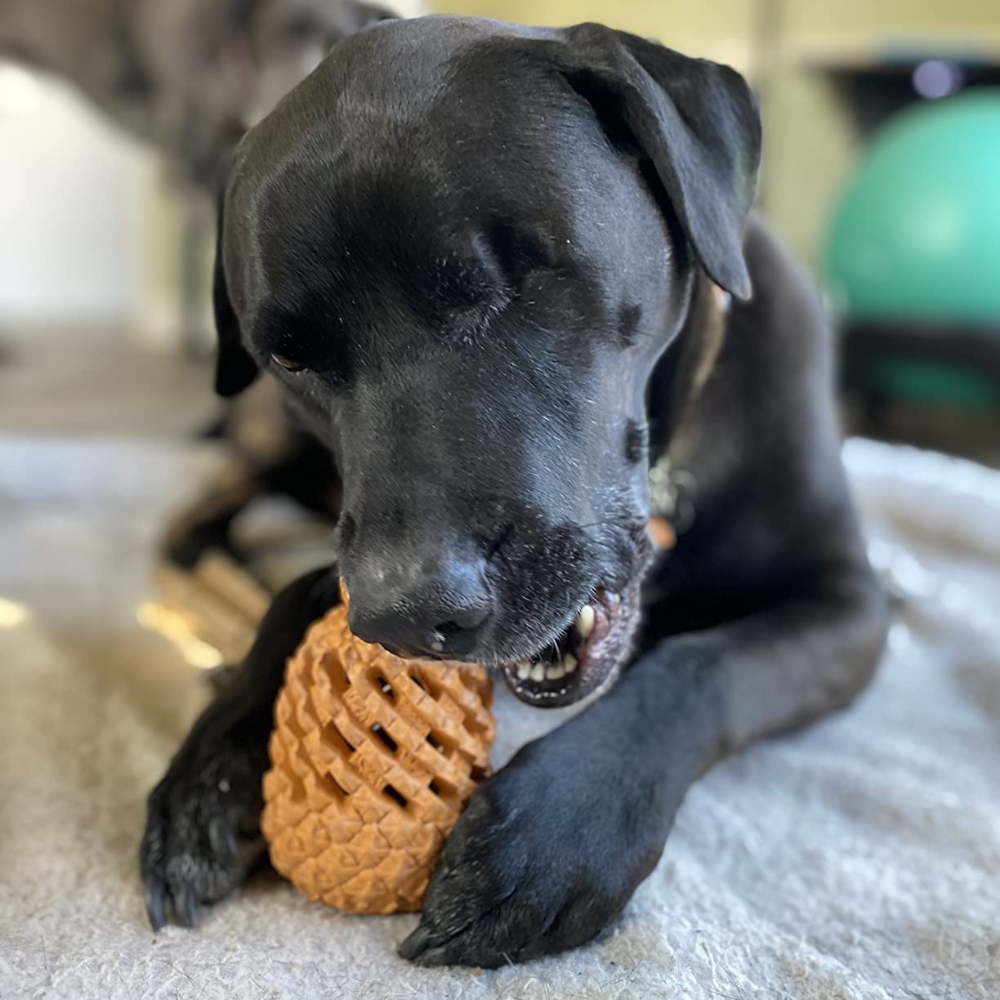 Pineapple Treat Dispensing Dog Toy for Aggressive Chewer