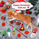 2025 Cat Advent Calendar