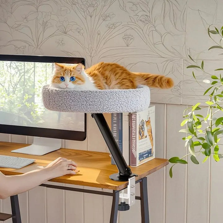 Cat Desk Bed | The Sustainable Desk-Mounted Cat Bed