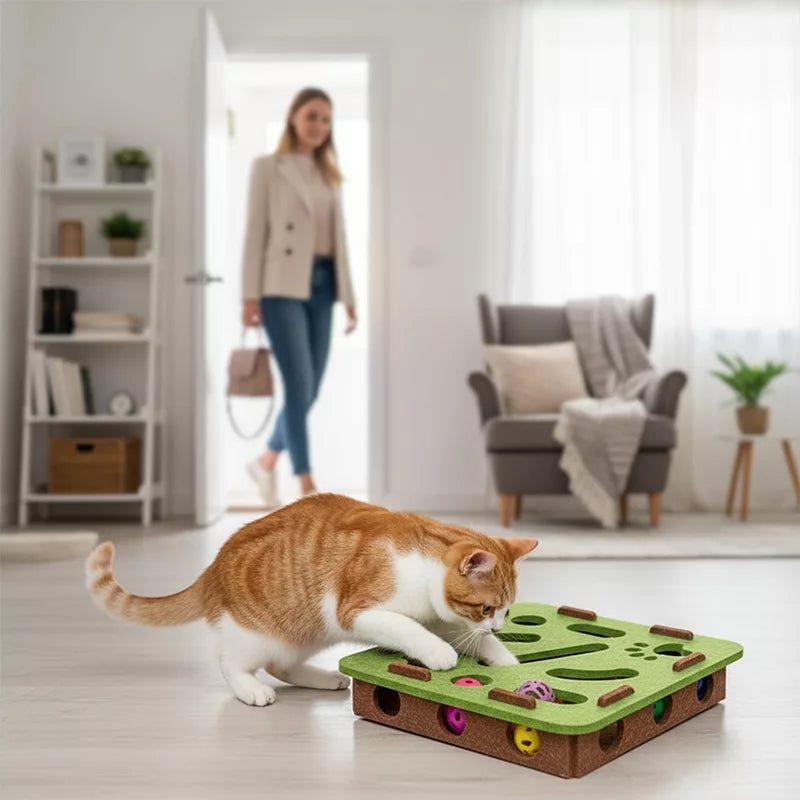 Cat Scratch Puzzle Enrichment Box: Nail File Stress Free Alternative to Clippers and Grinders