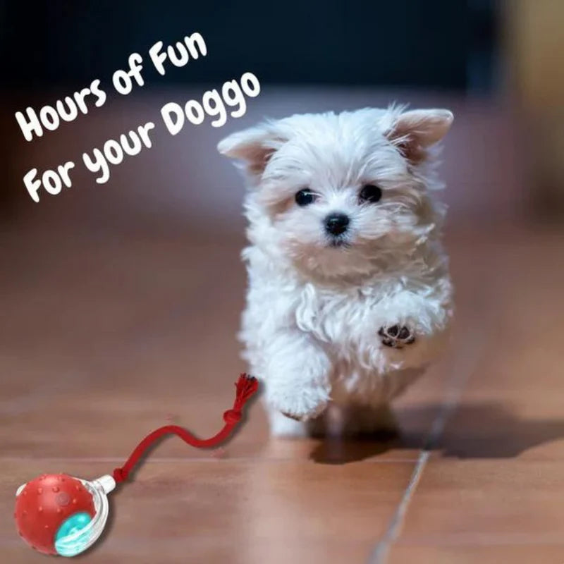 Tiny Fetch Motion Pet Toy