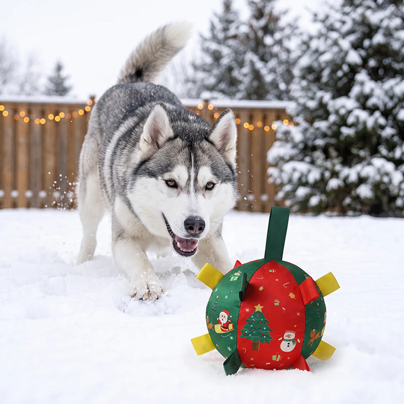 Christmas Dog Ball – Smart Rechargeable Automatic Motion Ball, Perfect Holiday Birthday Gift for Dogs