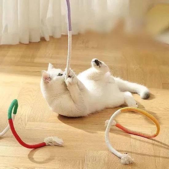 🔥😻Chewing Rope Specially Designed for Cats