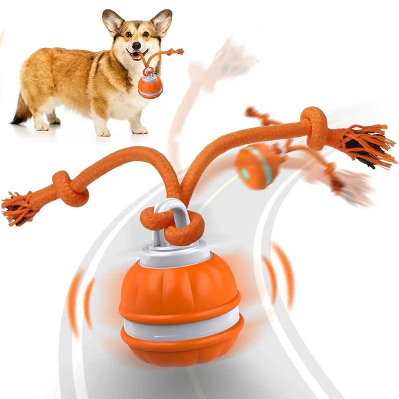 Interactive Smart Rolling Pet Ball