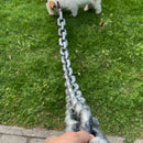 🐶The Chain Paws - 2025 Funniest Pet Chain🔒
