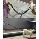🐶The Chain Paws - 2025 Funniest Pet Chain🔒