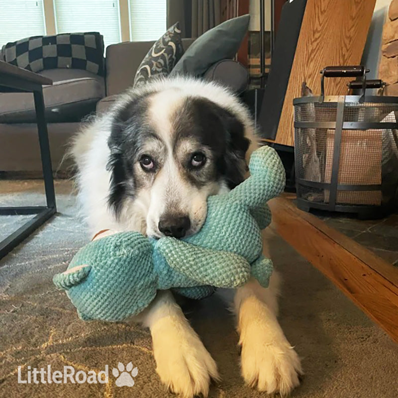 Indestructible Teddy Bear Toy For Aggressive Chewers | The Blue Giant Bear