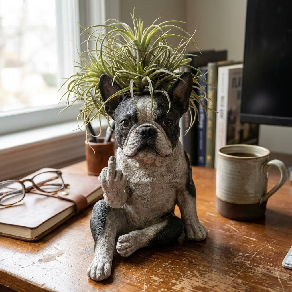 Boston Terrier Planter — Instantly Infuse Your Plants with Personality