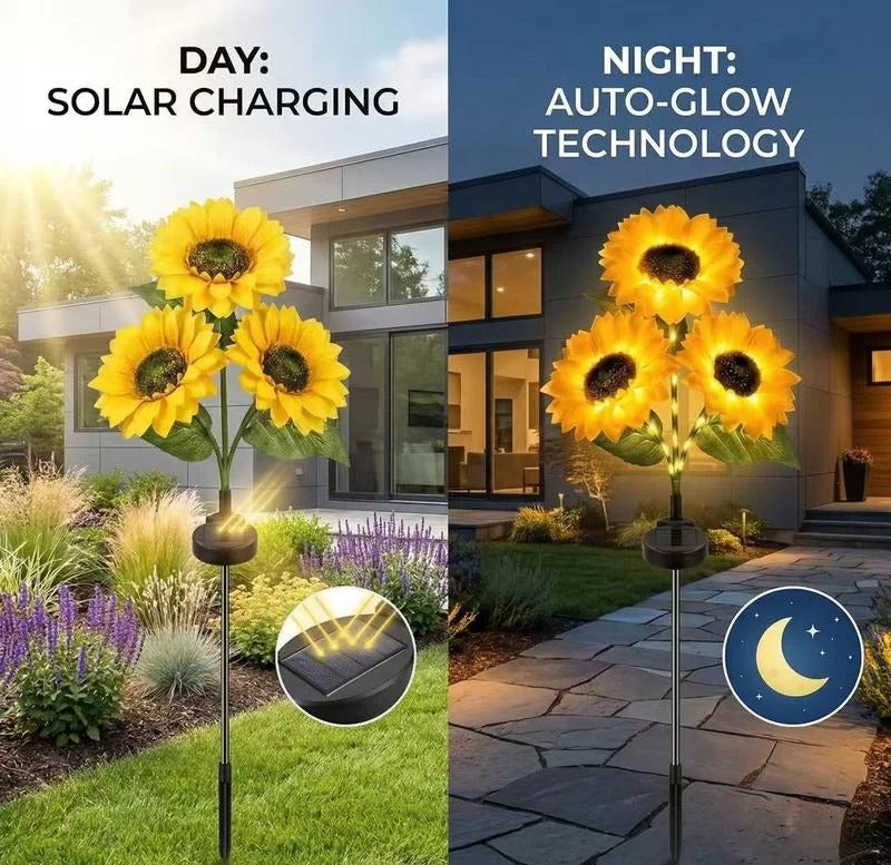 The Solar Sunflowers