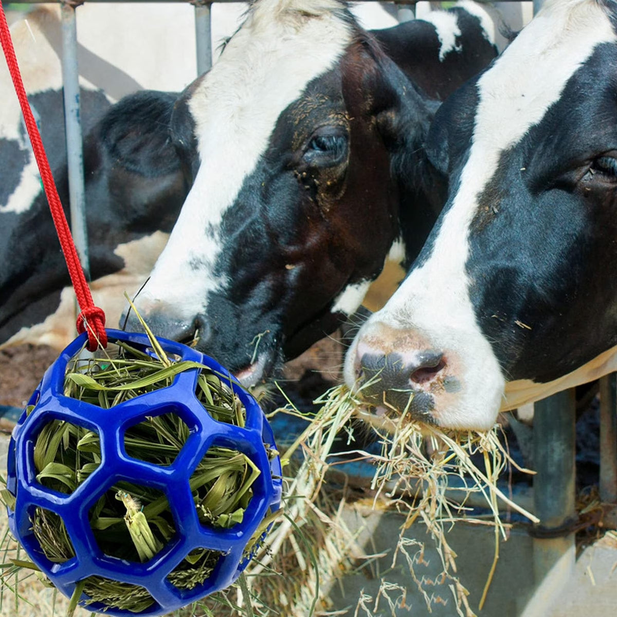 Hay Ball Stall Toy For Horse