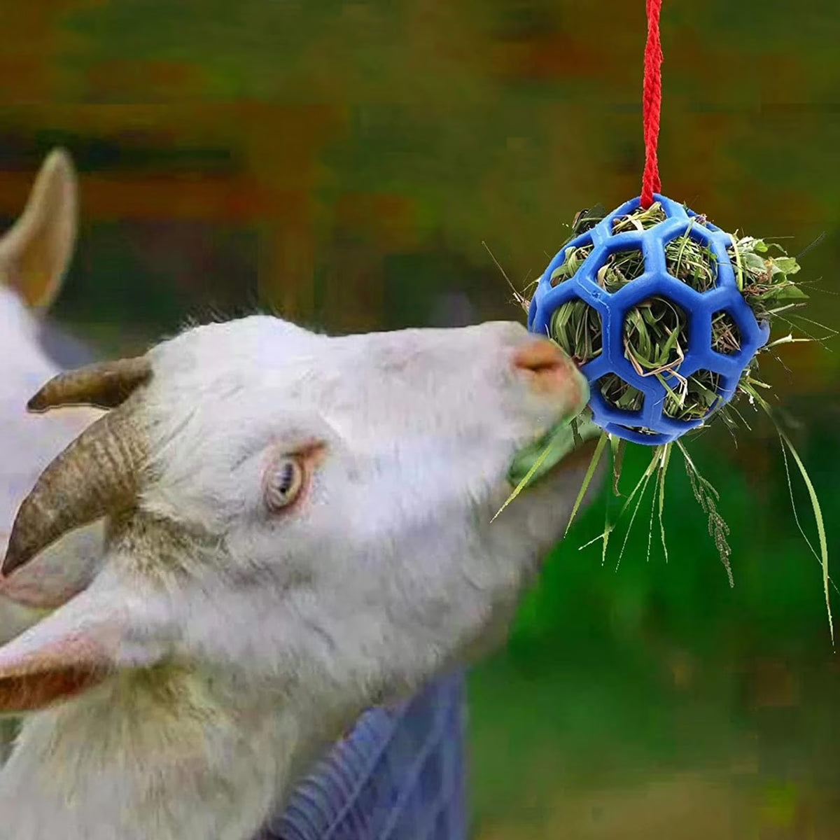 Hay Ball Stall Toy For Horse