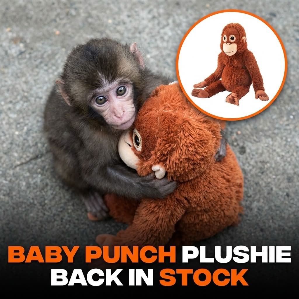 26" Punch The Monkey Stuffed Animal