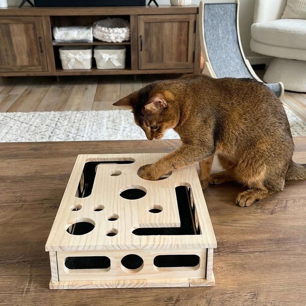Cat Scratch Puzzle Enrichment Box - Nail Care Kit