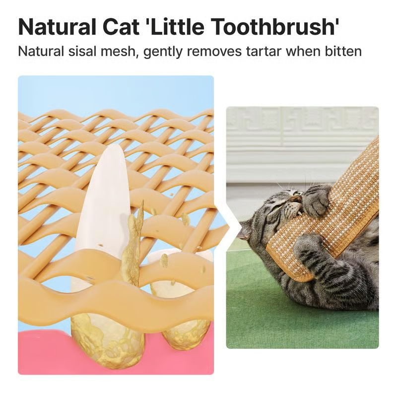 🐱Interactive Catnip Chew Toy for Cat