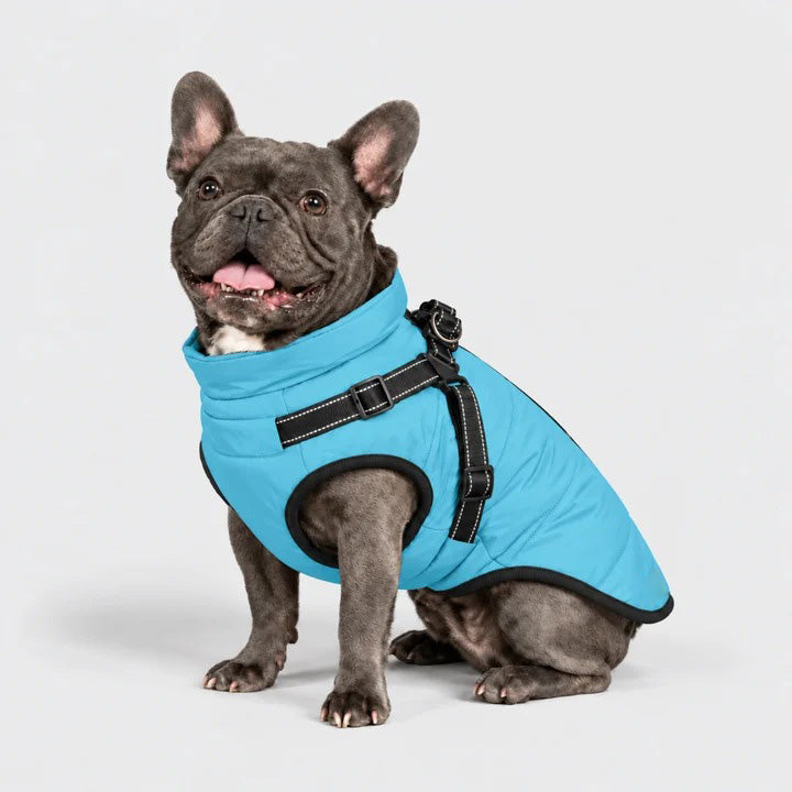 3 in 1 Winter Jacket For Dogs