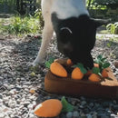 Carrot Garden - Dog Puzzle Toys