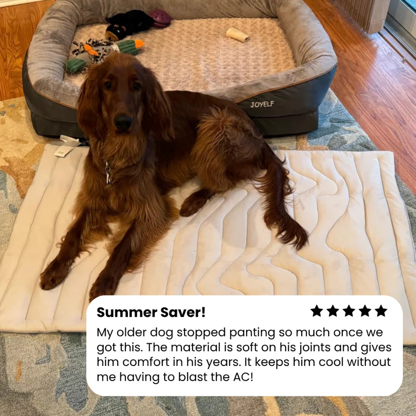 Cooling Mat for Large Dogs
