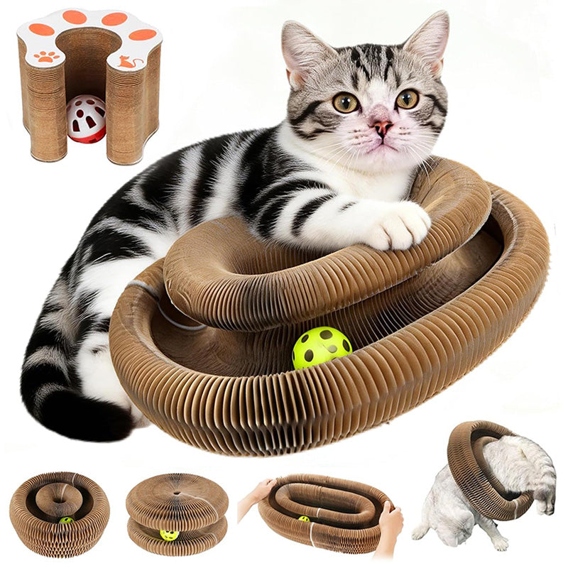 Cat Toy with Scratching Pad