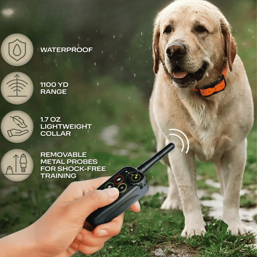 Long Range 3000-ft Waterproof Dog Training E-Collar & Remote