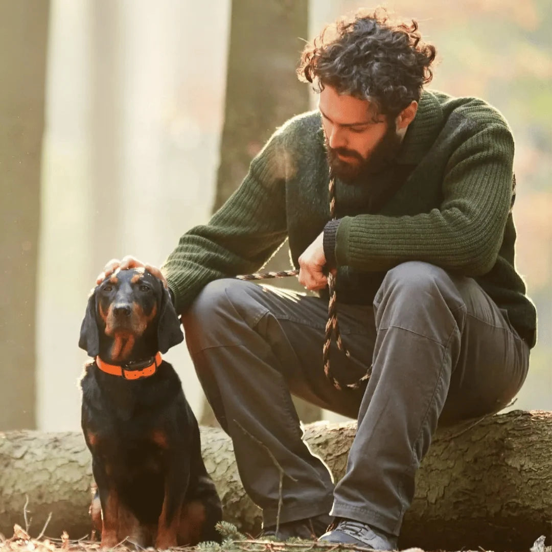 Long Range 3000-ft Waterproof Dog Training E-Collar & Remote