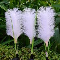 Solar Reed Garden Lights Outdoor Decorative