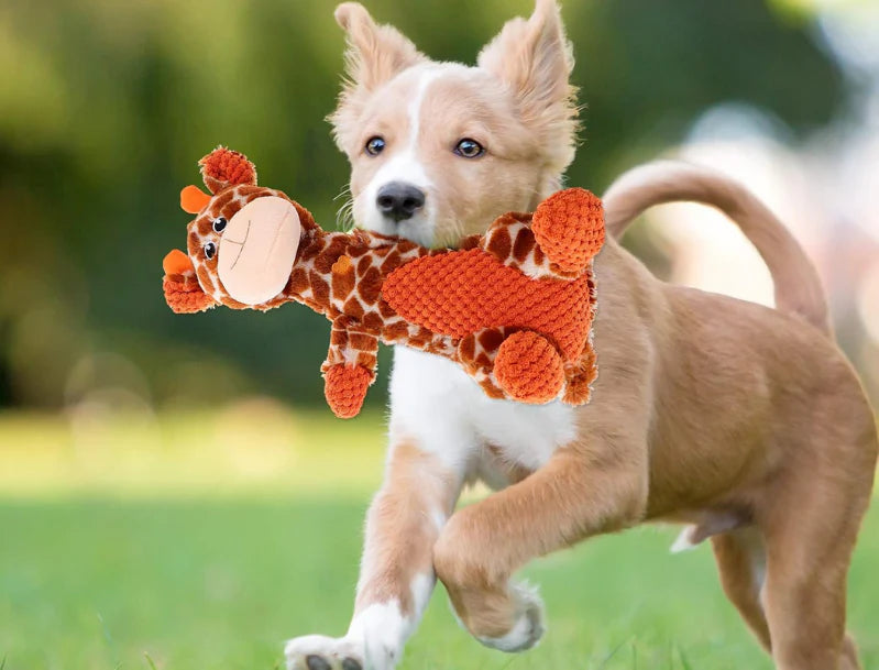 Super Chewer Tough Dog Toys for Aggressive Chewers