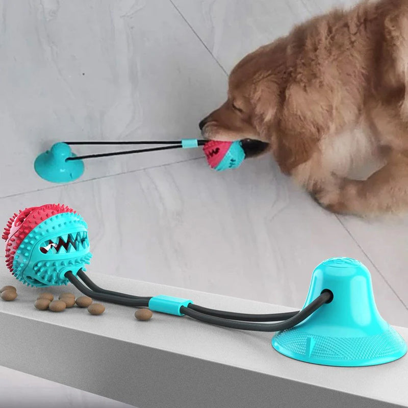 Suction Cup Dog Toys