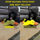 Calming Duck Dog Toy