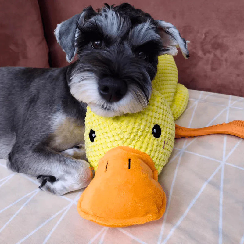 The Mellow Dog - Calming Duck Dog Toys