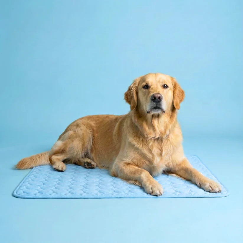 Arctic Dog Cooling Mat  | Self-Cooling Pet Pad