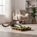 Cat Scratch Puzzle Enrichment Box: Nail File Stress Free Alternative to Clippers and Grinders