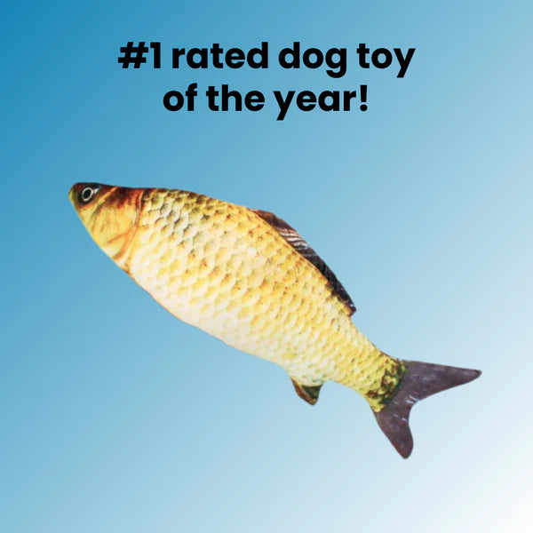 DancingFish  Floppy Fish Dog Toy