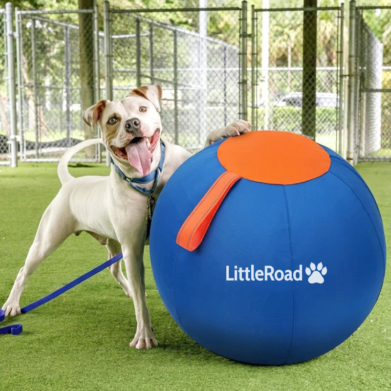 A white dog wearing a blue collar stands beside a large blue exercise ball with an orange top panel and handle. The ball has the LittleRoad brand name and paw print printed on it, and the scene is set on artificial turf with a chain-link fence in the background.