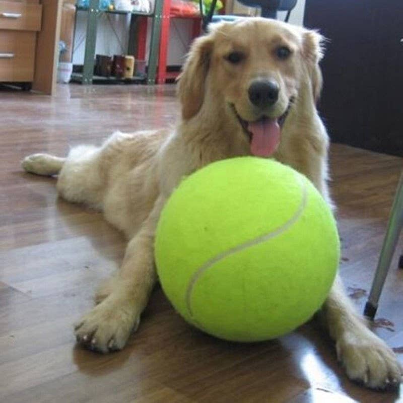 Jumbo Tennis Ball for Dogs - 9.5 Inch Giant Inflatable Dog Toy with Basketball Core