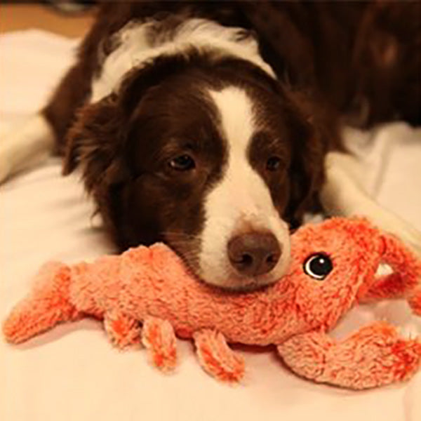 Floppy Lobster Interactive Dog Toy