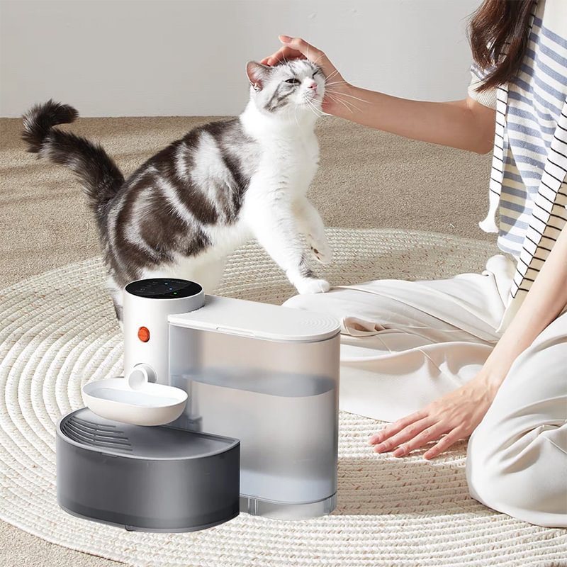 Smart Filter Free Pet Water Fountain