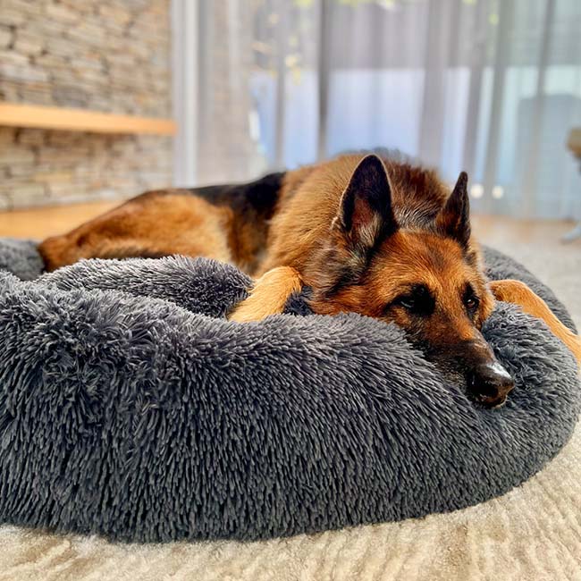 The Original Calming Dog Bed, Deep Sleep Dog Bed, Anti-Anxiety Calming Bed For Pet Comfy