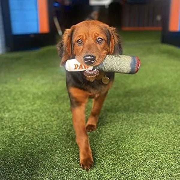 Cigar Design Plush Squeaky Dog Toy