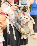 Hands-Free Carrier Backpack