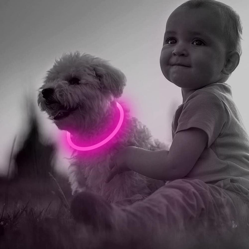 Light Up Dog Collars