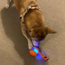 2 Pack Interactive Rolling Ball Dog Toy