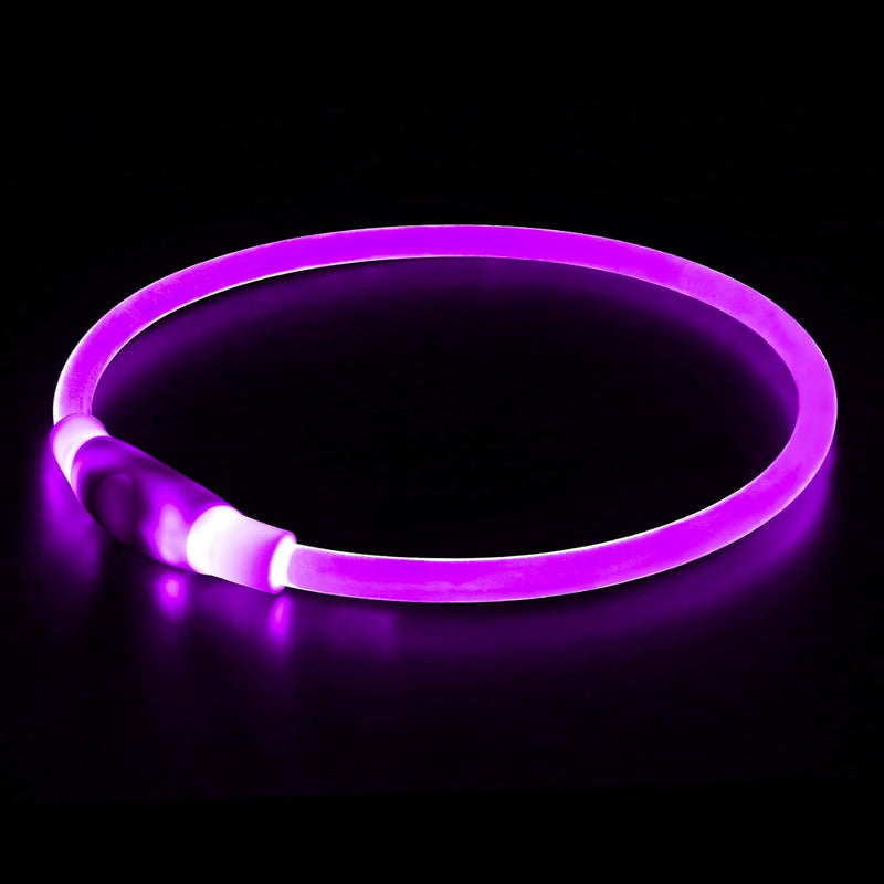 Light Up Dog Collars