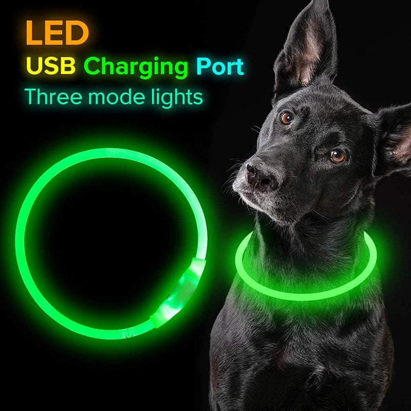 Light Up Dog Collars