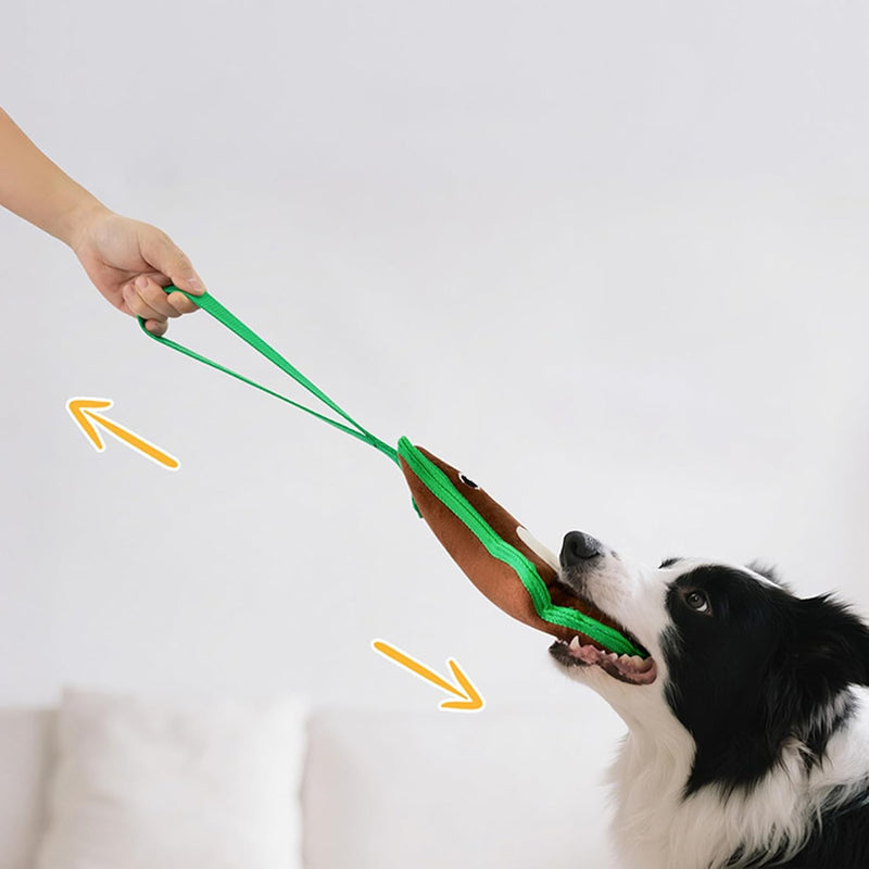 Indestructible & Interactive Bear Dog Toys For Heavy Chewers