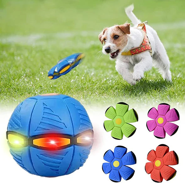 Doggy Disc Ball for Dog