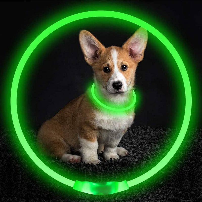 Light Up Dog Collars