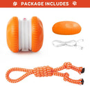 2 Pack Interactive Rolling Ball Dog Toy