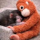 🐵 3D Viral Punch Monkey Keychain 💕🎁Emotional Gift for Animal Lovers, Family, Friends, Loved Ones