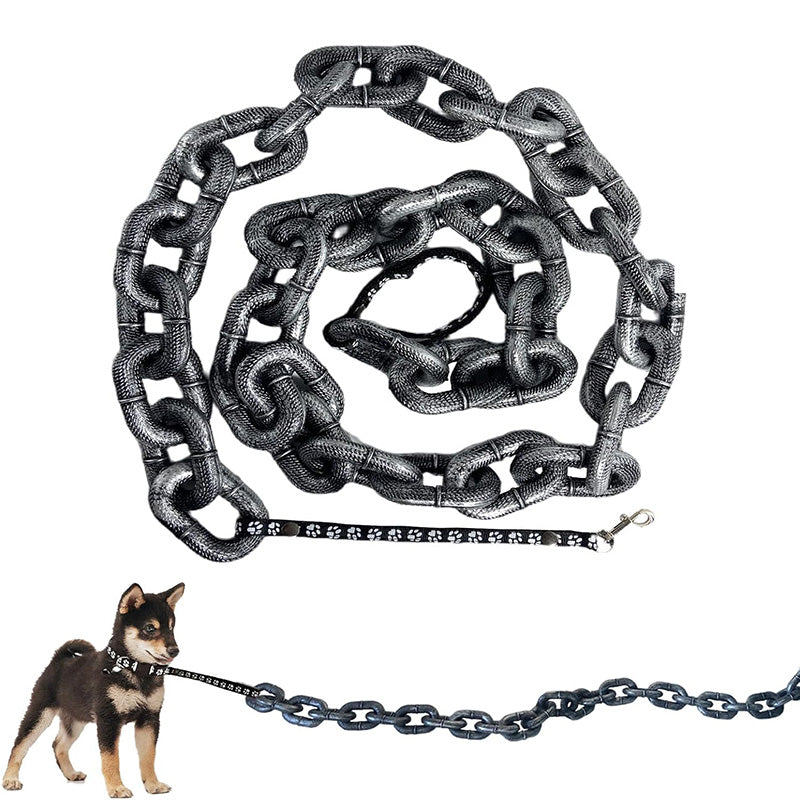 The Chain Paws - 2025 Funniest Pet Chain