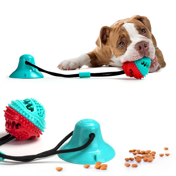 Suction Cup Dog Toys